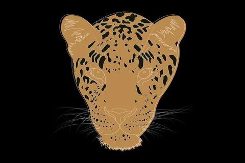 Drawing of a leopard. Leopard head full face. Simple linear drawing of a leop Stock Illustration