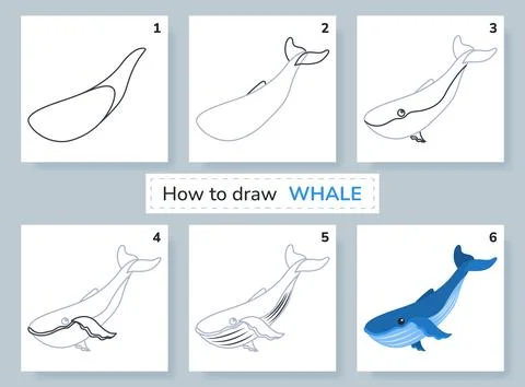 Drawing lesson for kids. How to draw whale. Stock Illustration