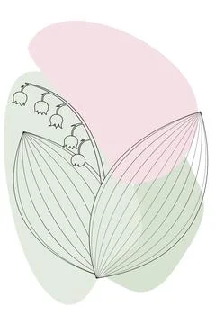 Drawing of a lily of the valley with lines on the background of abstract spot イラスト素材
