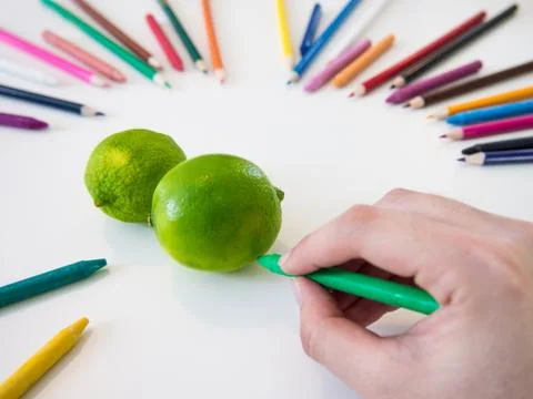 Drawing Lime Foto stock