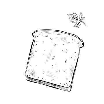 Drawing lines. line art bread and greens. Vector minimalistic design Stock Illustration