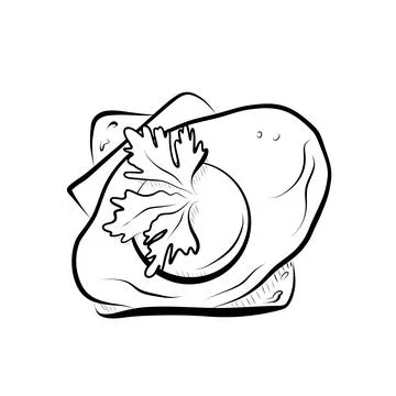 Drawing lines. line art egg on bread for breakfast. Vector minimalistic Stock Illustration