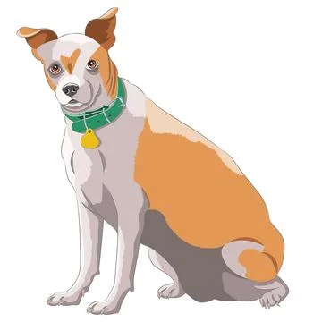 Drawing of a mongrel red dog in a collar with a medallion. Stock Illustration
