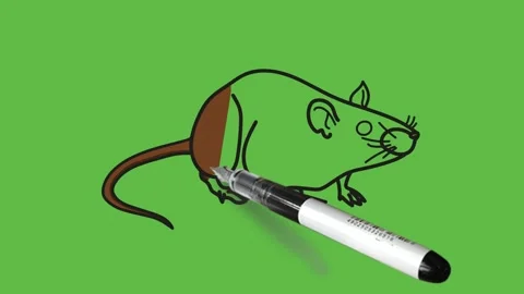 Drawing a mouse in black, brown and pink colour combination on abstract green Video stock 155181273
