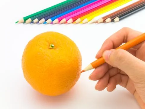 Drawing Orange Stock Photos