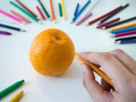 Drawing Orange Stock Photos
