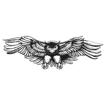 Drawing Owl Wings Spread Stock Illustration
