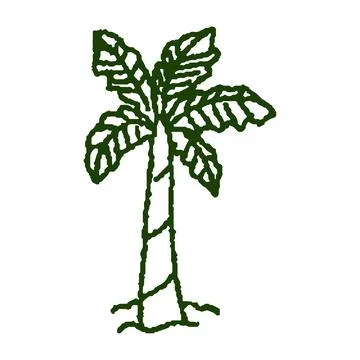 Drawing of a palm tree Ilustração Stock