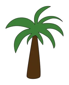 A drawing of a palm tree vector illustration Stock Illustration