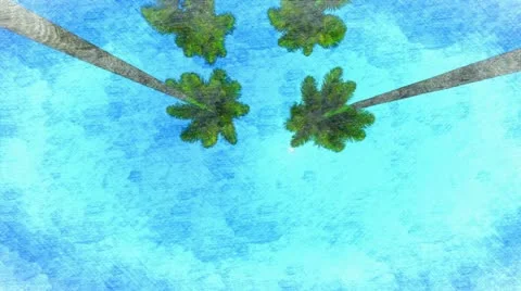 Drawing palm trees Stock Footage 12726906
