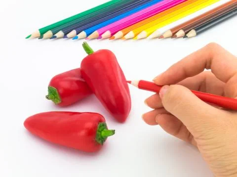 Drawing Paprika Stock Photos