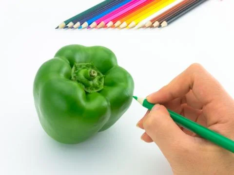 Drawing Paprika Stock Photos