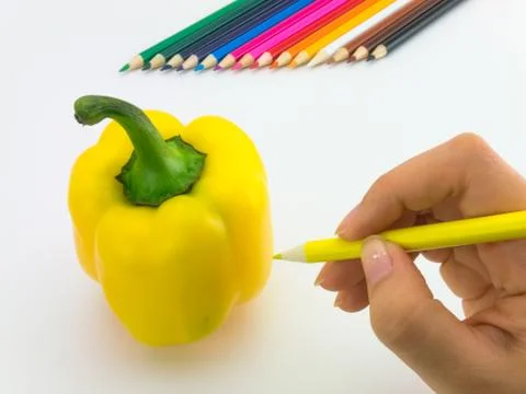 Drawing Paprika Stock Photos