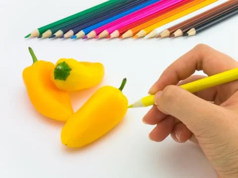 Drawing Paprika Stock Photos