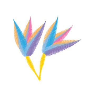 Drawing  of paradise flowe Illustrazione stock