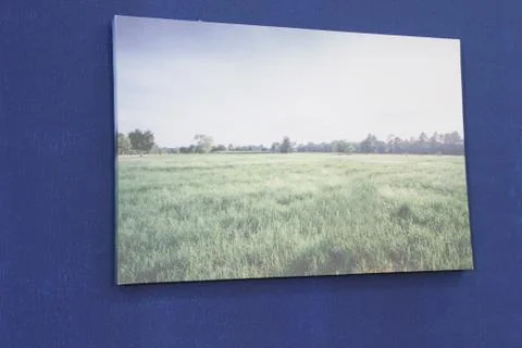 Drawing Stock Photos