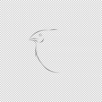 Drawing of a profile of a quail Stock Illustration