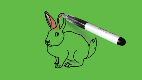 Drawing a rabbit in black, brown, grey and pink colour combination on abstract Vidéo 155181195