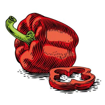 Drawing of red pepper Stock Illustration