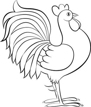Drawing of rooster or cock vector sketch Stock Illustration