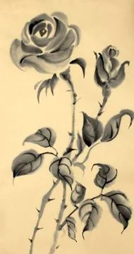 Drawing of a rose on a beige background Illustrazione stock