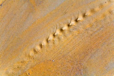 Drawing on the sand made by a stream. Stock Photos