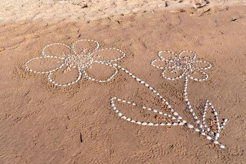 Drawing on a sandy beach. Stock Photos
