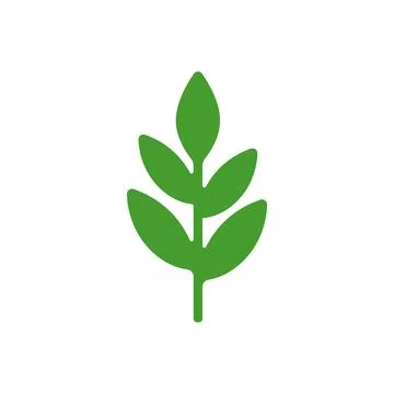 Drawing of a seedling with fresh leaves. Vector Illustration
