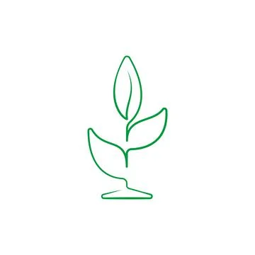 Drawing of a seedling with fresh leaves. Vector Stock Illustration