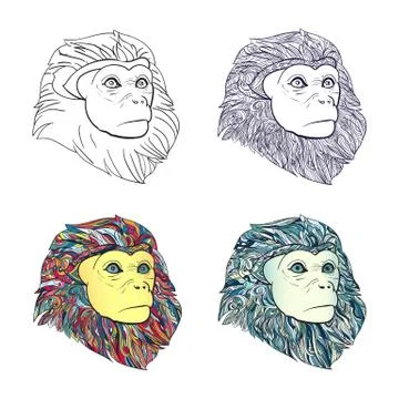 Drawing of set of  monkey head with pattern for coloring on white background Stock Illustration