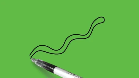 Drawing a snake in black and grey colour combination on abstract green 動画素材 155181727