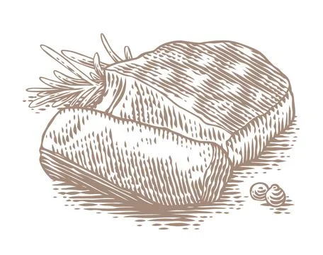 Drawing of steak Stock Illustration