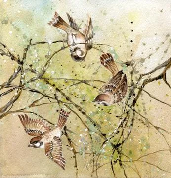 Drawing of three sparrows sitting on tree branches over colorful background Ilustração Stock