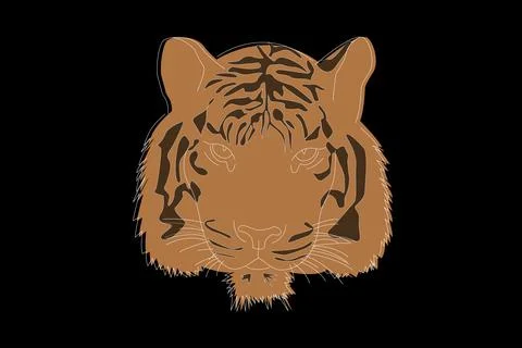 Drawing of a tiger. Tiger head full face. Simple linear drawing of a tiger. W Stock Illustration