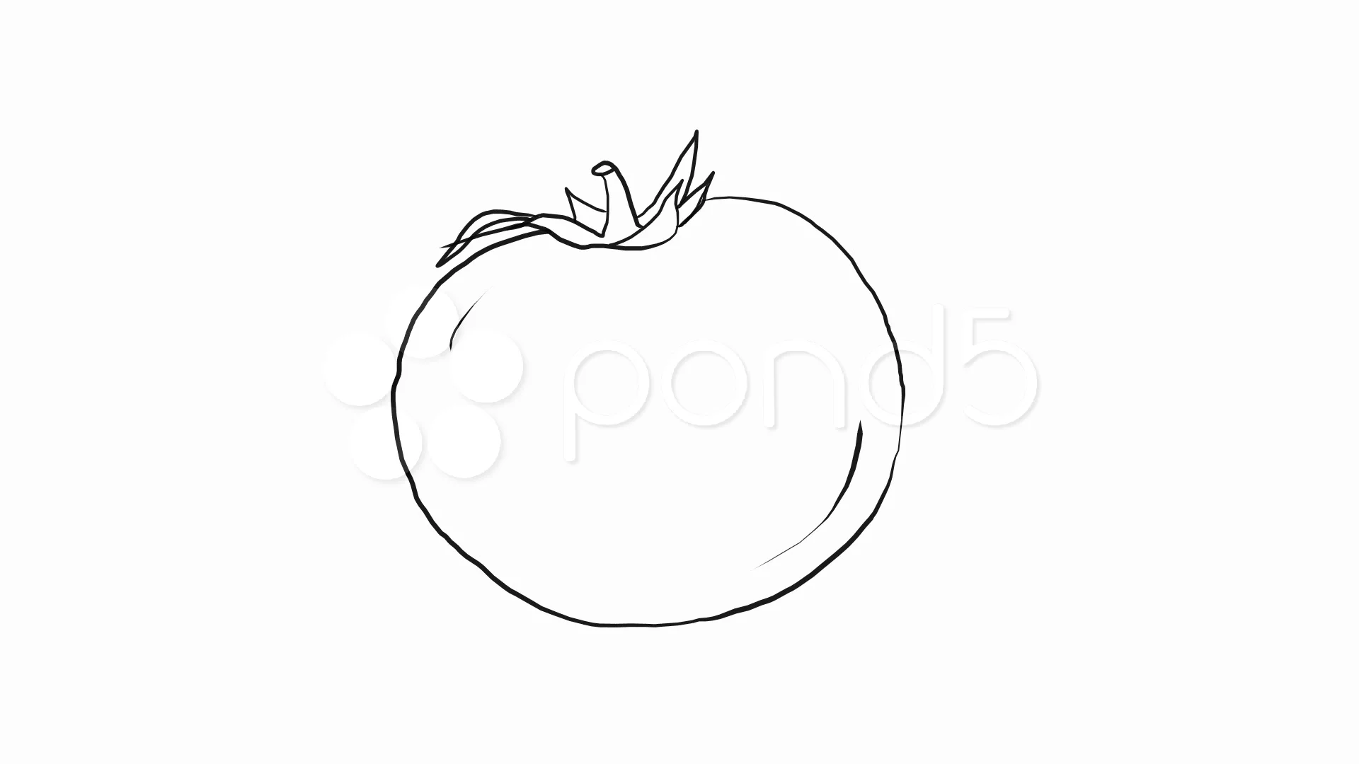 Black And White Tomato Drawing Images  Free Photos PNG Stickers  Wallpapers  Backgrounds  rawpixel