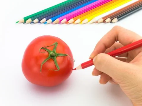 Drawing Tomato Foto stock