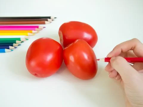 Drawing Tomato Stock Photos