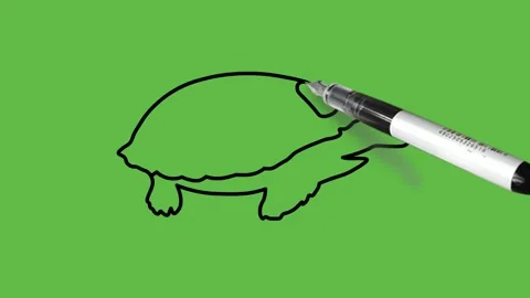 Drawing a tortoise in black and blue colour combination on abstract green back Vidéo 155180810