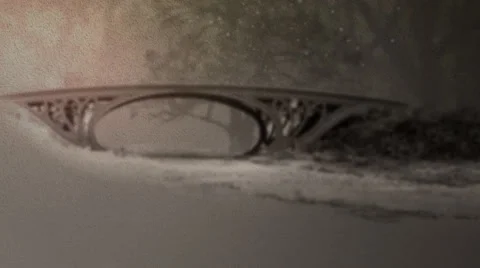 Drawing tree animation Stock Footage 53900577