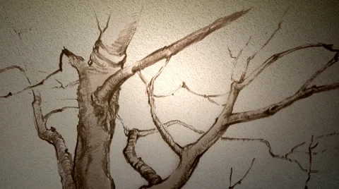 Drawing tree animation Stock Footage 53900960