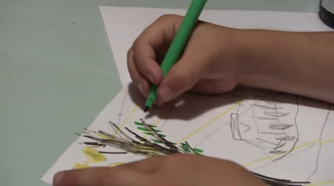 Drawing a Tree Stock Footage 46142417