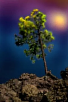 Drawing tree in the night Stock Illustration