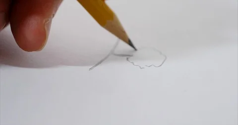 Drawing a tree on paper Stock Footage 102253310
