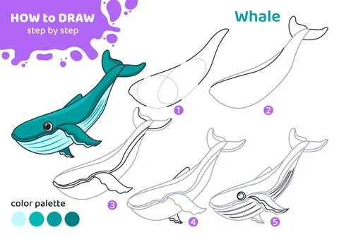 Drawing tutorial for kids. How to draw whale. Stock Illustration