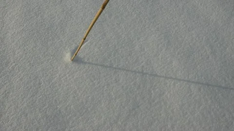 Drawing two flowers on winter snow Stock Footage 10742433