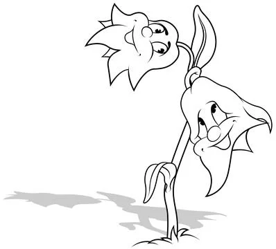 Drawing of Two Smiling Bellflowers on a Stem with Leaves Stock Illustration