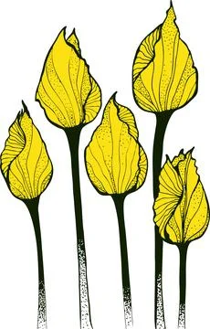 Drawing vector graphics with floral pattern for design. Floral flower natur.. 스톡 일러스트