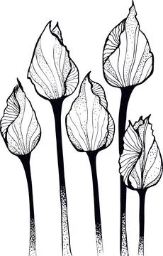 Drawing vector graphics with floral pattern for design. Floral flower natur.. Stock Illustration