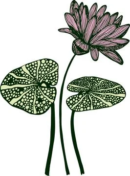 Drawing vector graphics with floral pattern for design. Floral flower natur.. Ilustración de archivo