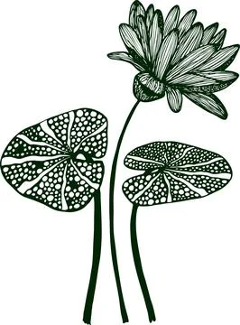 Drawing vector graphics with floral pattern for design. Floral flower natur.. Stock Illustration